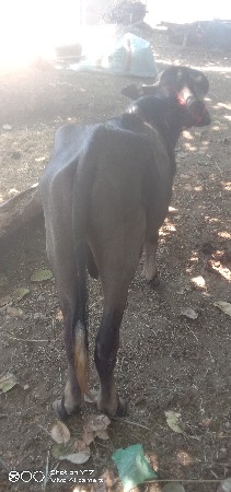 थंबनेल 2