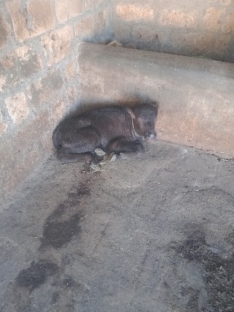 थंबनेल 3