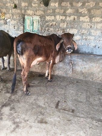 थंबनेल 2