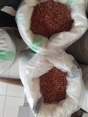 બિયારણ વેચવાનું છે