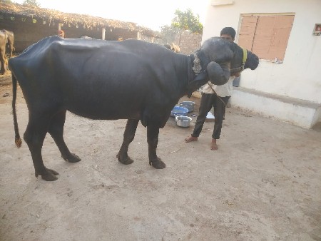 थंबनेल 2