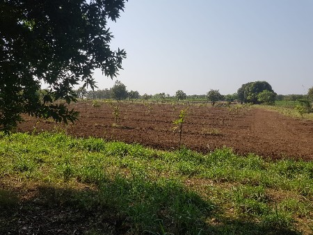 જમીન વેચવાની છે