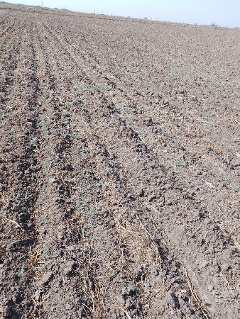 જમીન વેચવાની છે