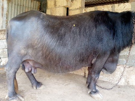 थंबनेल 2