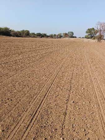 જમીન વાવવા માટે આપવાની છે