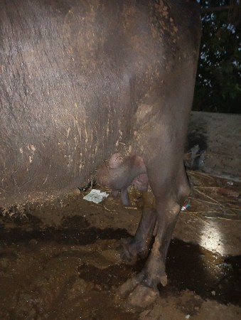 थंबनेल 2