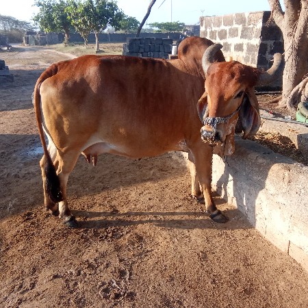 थंबनेल 3