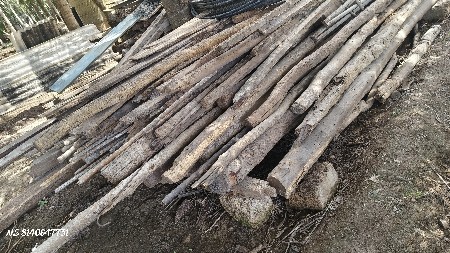 લાકડા વેચવાના છે