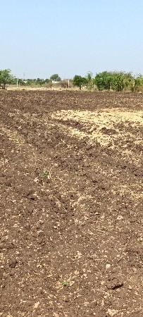 જમીન  વેચવાની  છે