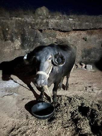 थंबनेल 3