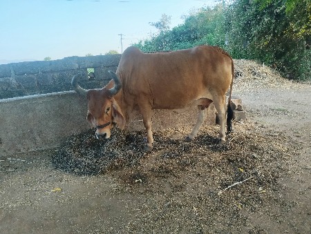 थंबनेल 2