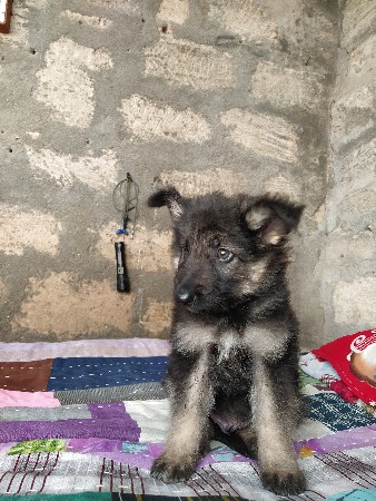 थंबनेल 3