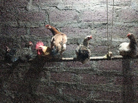 થંબનેલ 2