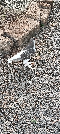 थंबनेल 2