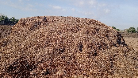 વેચવાનોછે