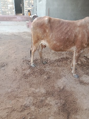 थंबनेल 2