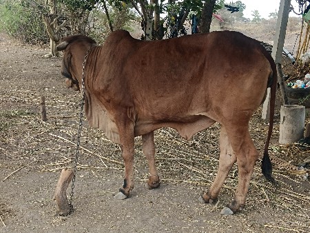 થંબનેલ 3