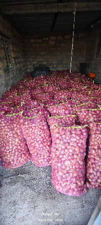 ડુંગળી વેચવા ની છે