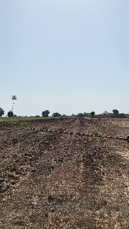 જમીન વેચવાની છે