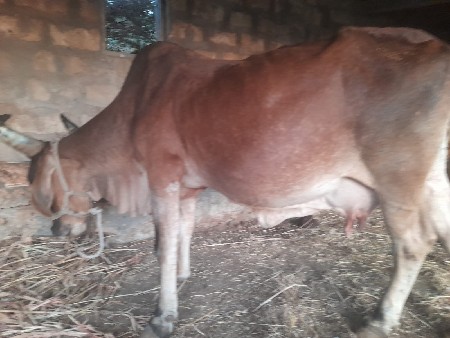 થંબનેલ 3