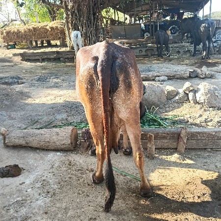 थंबनेल 3