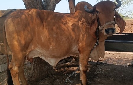 थंबनेल 3