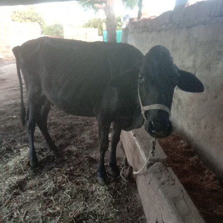 थंबनेल 2