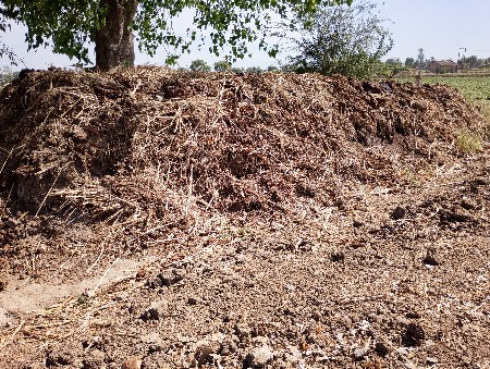 દેશી છાણીયું ખાતર