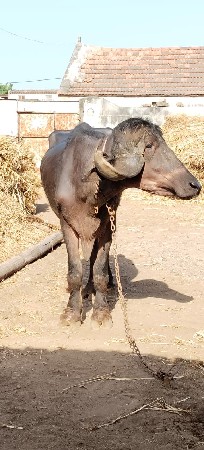 થંબનેલ 3