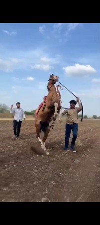 थंबनेल 3