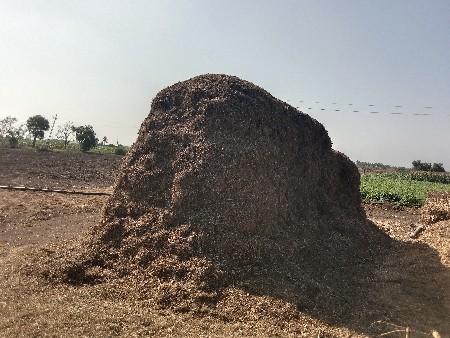 ભુકો માંડવીનો વેસવાનું છે