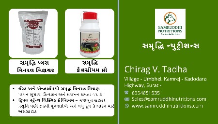 મિનરલ મિક્ષચર (પાવડર)