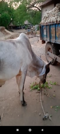 थंबनेल 2