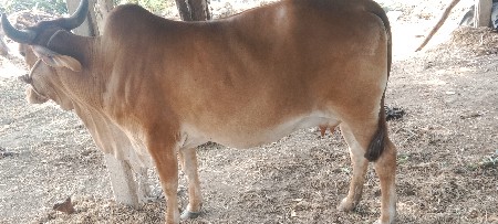 थंबनेल 3