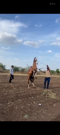 थंबनेल 2