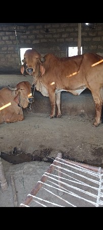 थंबनेल 2