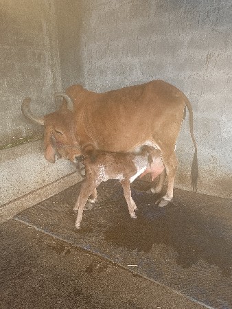 थंबनेल 2