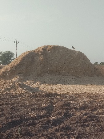 ખારીયુ વેચવાનુ છે