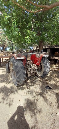 थंबनेल 3