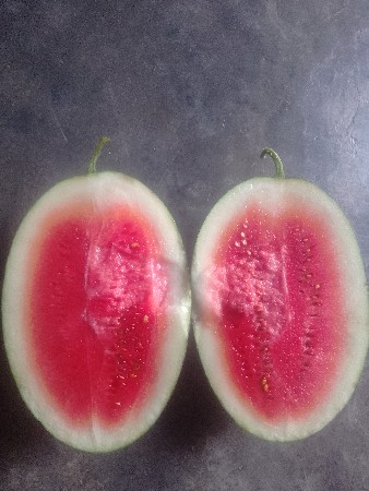 વેચવાના