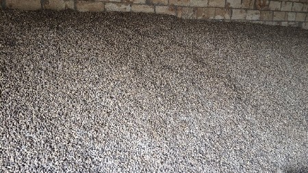 G38, માંડવી