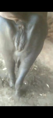 थंबनेल 3