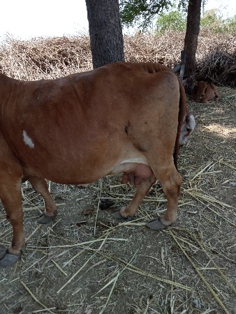 थंबनेल 2