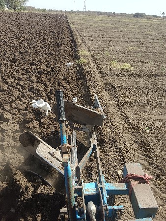 સવદા સે ફૂલ જવાબ દારી