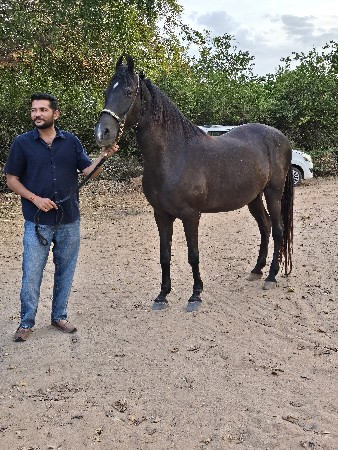 थंबनेल 3