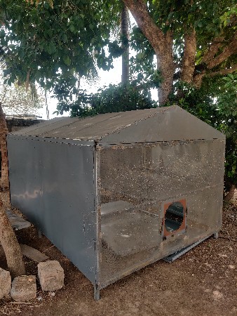 ટ્રોલી જારી ડબો