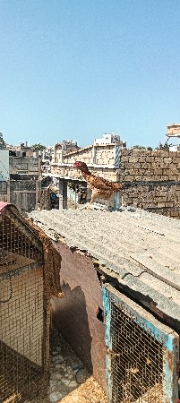 વેચવાની છે