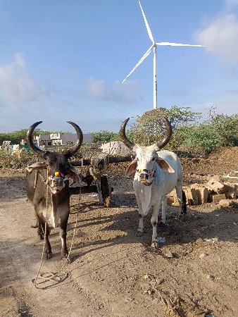 થંબનેલ 2