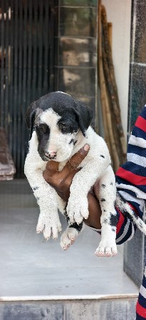 थंबनेल 2