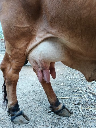 થંબનેલ 2